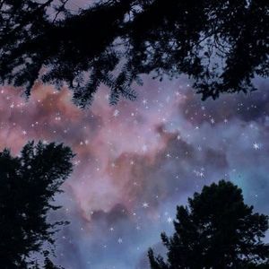 Meet your Posher, Danny